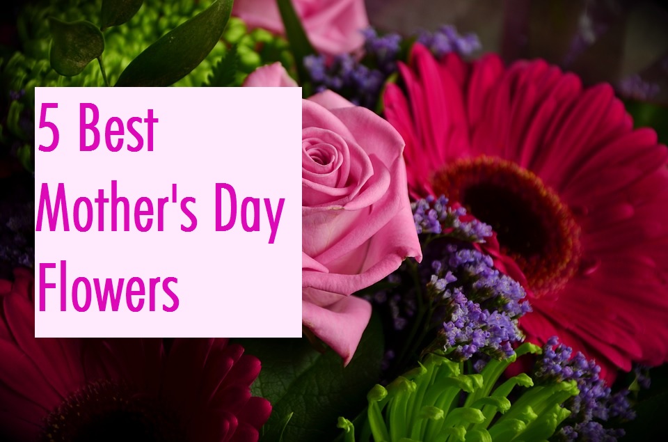 Best Flowers For Mother's Day Near Me Same Day Flower