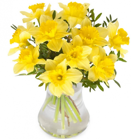 Send Daffodil Bouquets Flowers