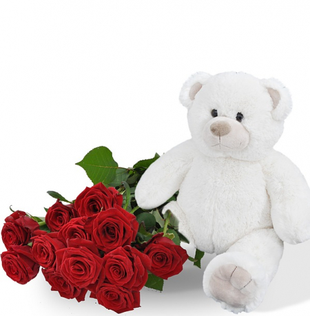 dozen roses teddy bear