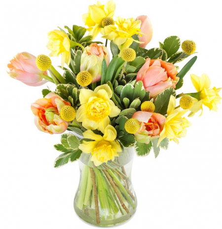 Send Daffodil Bouquets Flowers